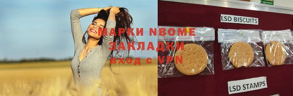 дурь Вяземский