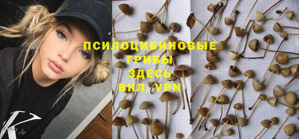 дурь Вяземский