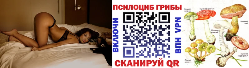 KRAKEN   дарнет шоп  Железноводск  Галлюциногенные грибы мицелий 
