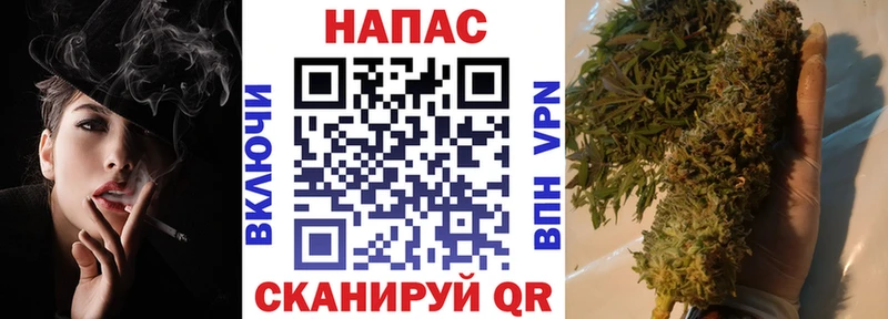 mega tor  как найти   площадка формула  Конопля план  Железноводск 